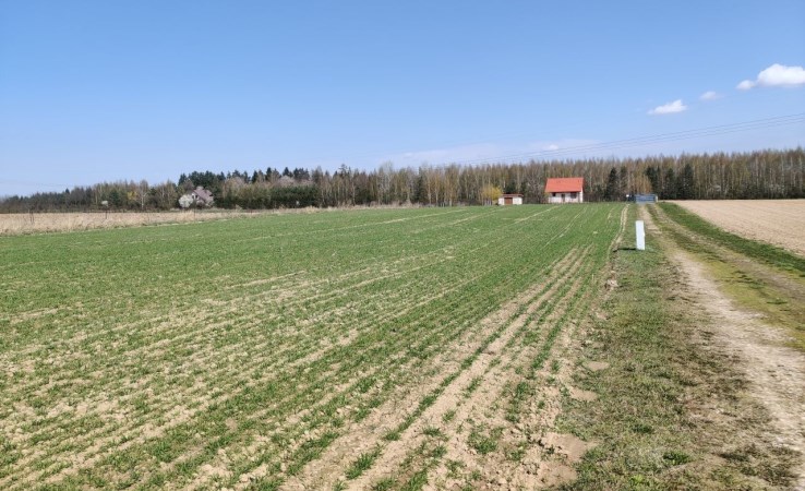 działka na sprzedaż - Konopnica, Motycz